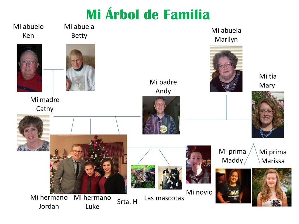 Mi Árbol de Familia Mi abuelo Ken Mi abuela Betty Mi abuela Marilyn