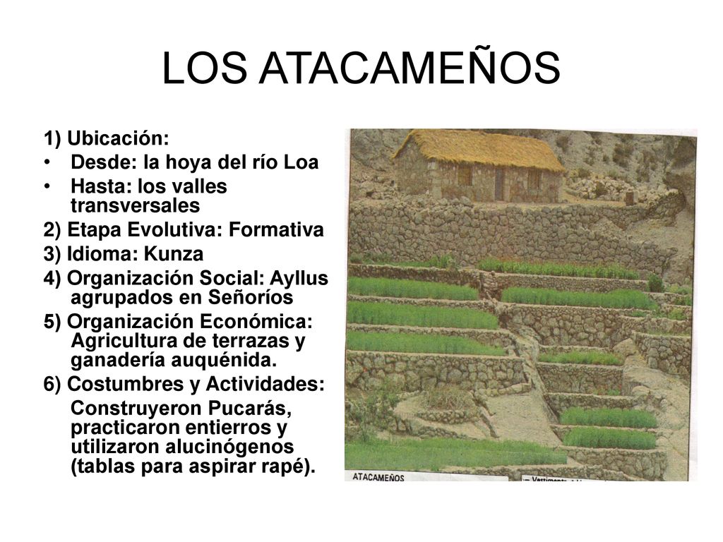 LOS ATACAMEÑOS 1) Ubicación: Desde: la hoya del río Loa