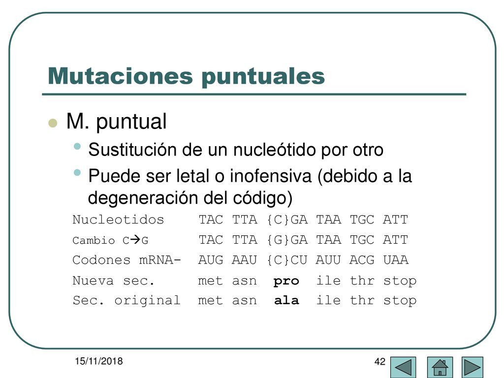 Mutaciones puntuales M. puntual Sustitución de un nucleótido por otro