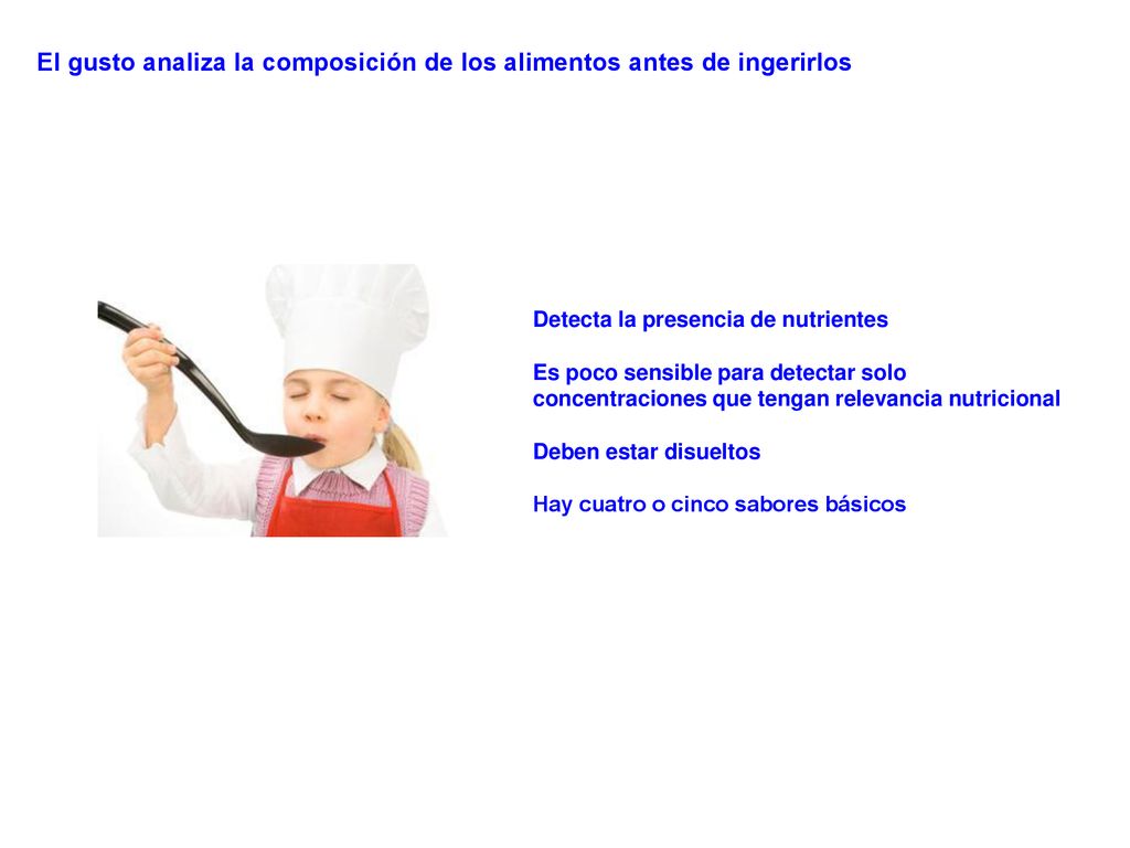 El gusto analiza la composición de los alimentos antes de ingerirlos