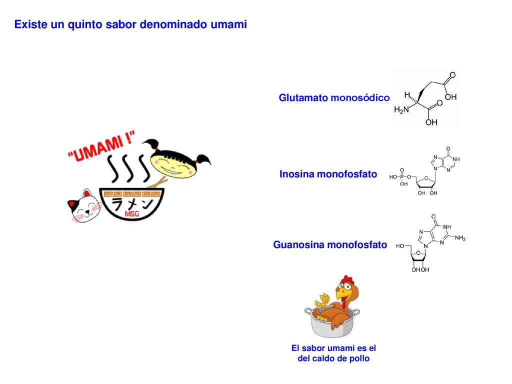 Guanosina monofosfato El sabor umami es el del caldo de pollo