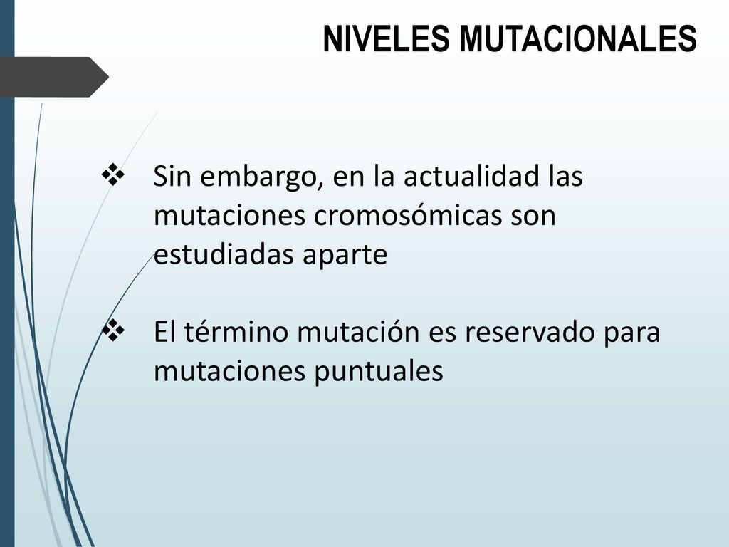 NIVELES MUTACIONALES Sin embargo, en la actualidad las mutaciones cromosómicas son estudiadas aparte.