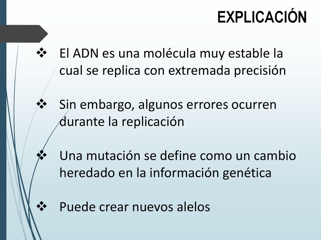 EXPLICACIÓN El ADN es una molécula muy estable la cual se replica con extremada precisión.