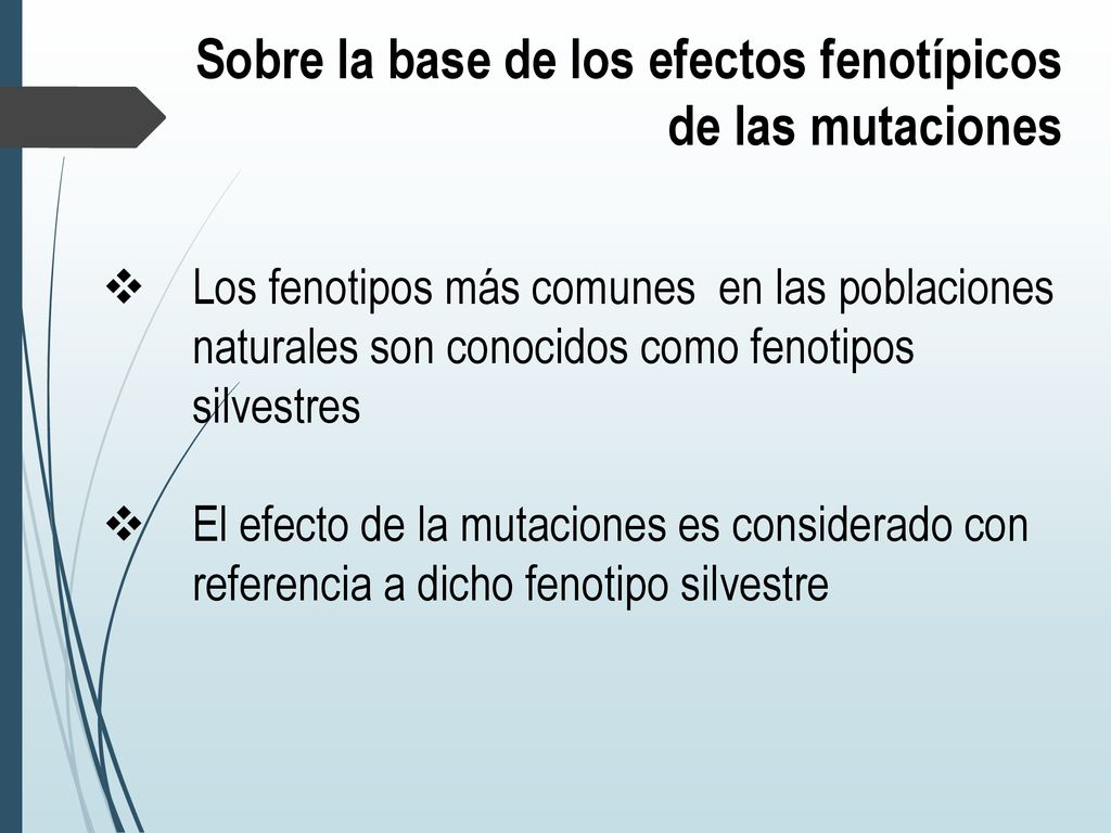 Sobre la base de los efectos fenotípicos de las mutaciones