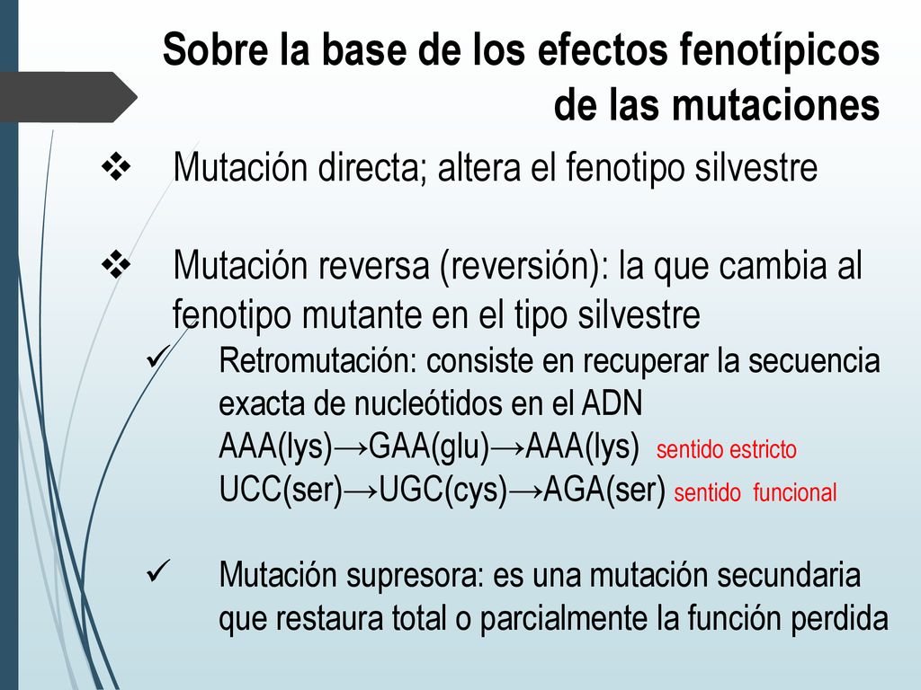 Sobre la base de los efectos fenotípicos de las mutaciones