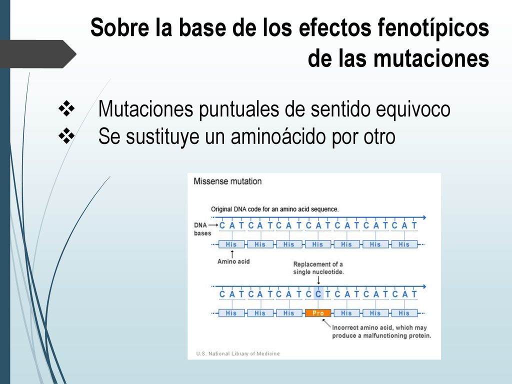 Sobre la base de los efectos fenotípicos de las mutaciones