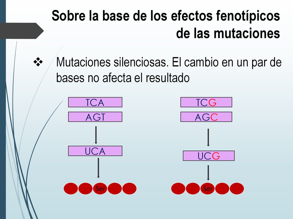 Sobre la base de los efectos fenotípicos de las mutaciones