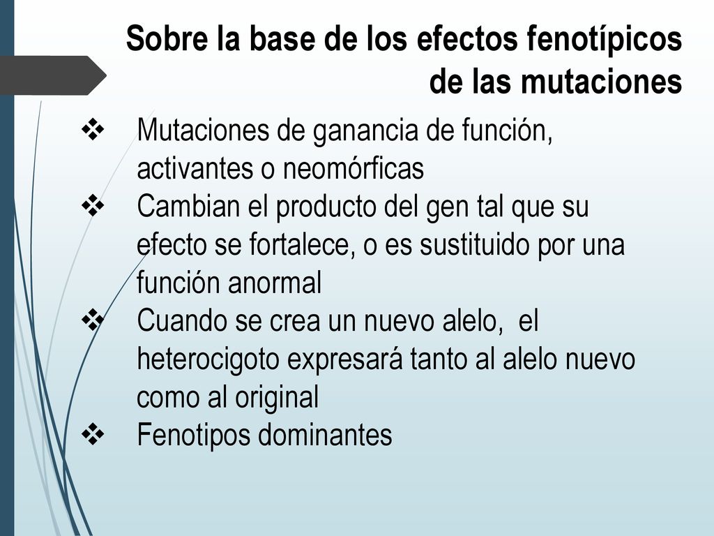 Sobre la base de los efectos fenotípicos de las mutaciones