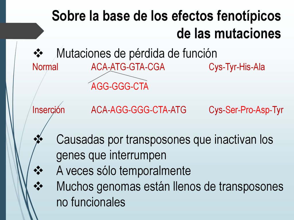 Sobre la base de los efectos fenotípicos de las mutaciones