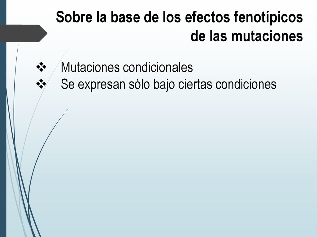 Sobre la base de los efectos fenotípicos de las mutaciones