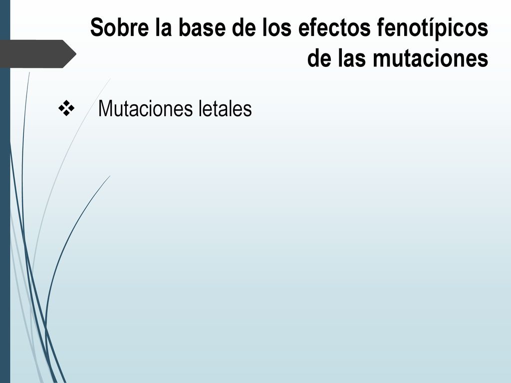 Sobre la base de los efectos fenotípicos de las mutaciones