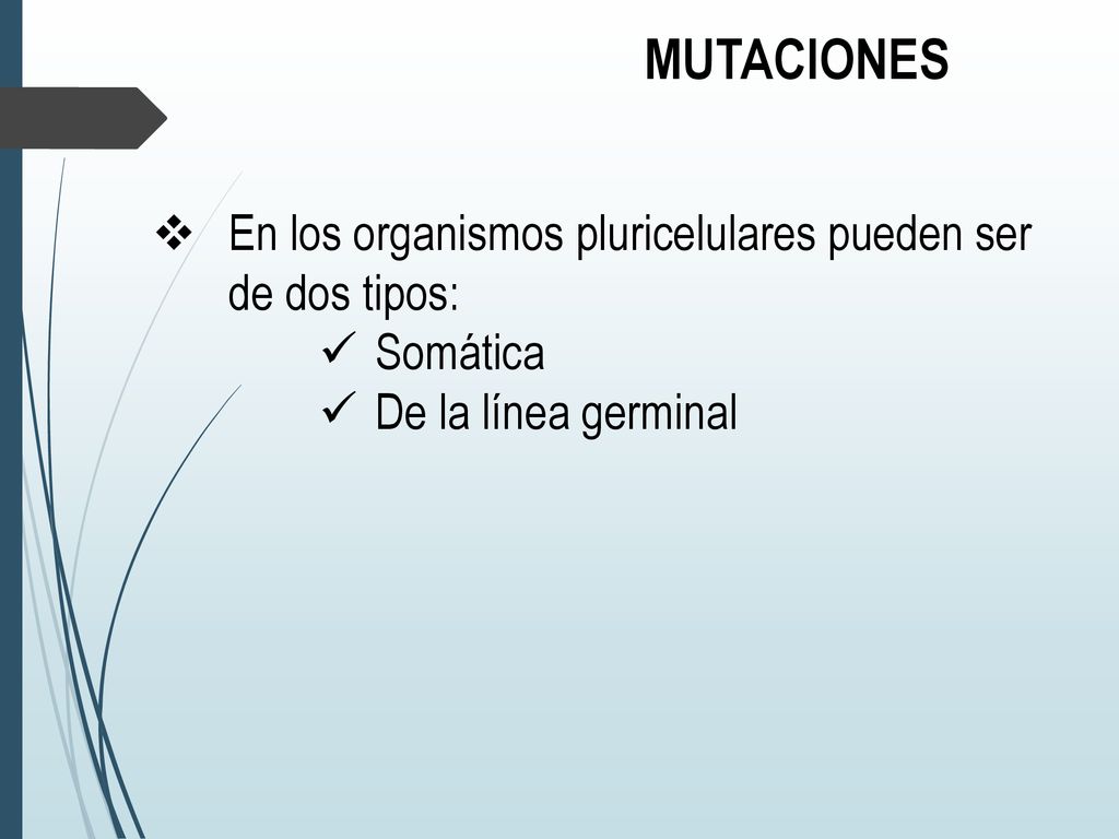 MUTACIONES En los organismos pluricelulares pueden ser de dos tipos: