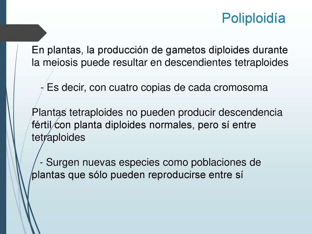 Poliploidía En plantas, la producción de gametos diploides durante la meiosis puede resultar en descendientes tetraploides.