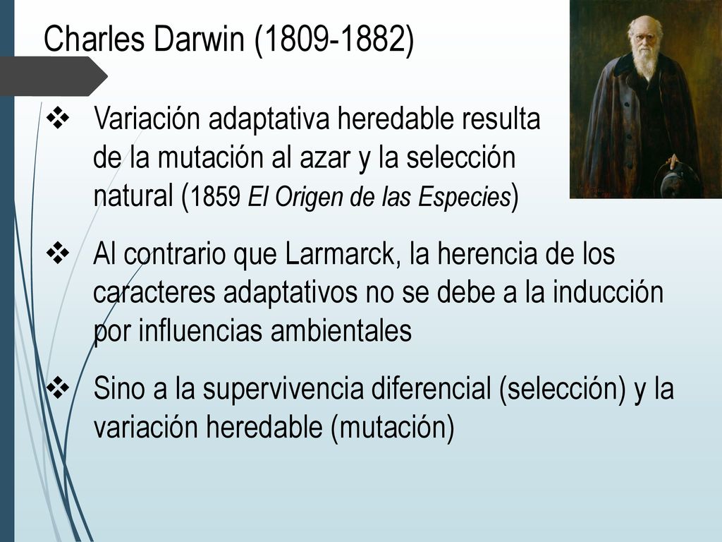 Charles Darwin ( ) Variación adaptativa heredable resulta de la mutación al azar y la selección natural (1859 El Origen de las Especies)