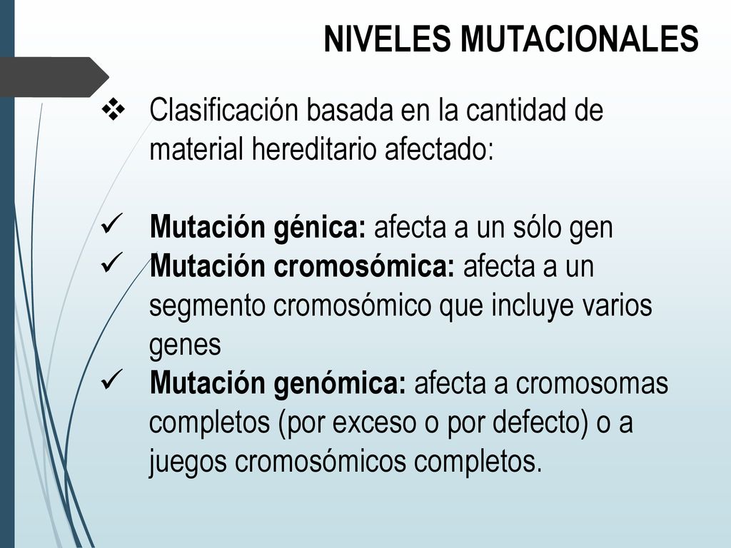 NIVELES MUTACIONALES Clasificación basada en la cantidad de material hereditario afectado: Mutación génica: afecta a un sólo gen.