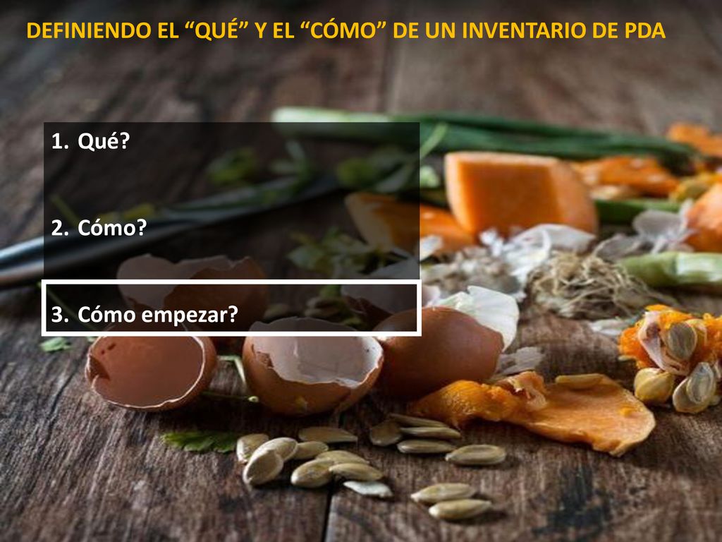 DEFINIENDO EL QUÉ Y EL CÓMO DE UN INVENTARIO DE PDA