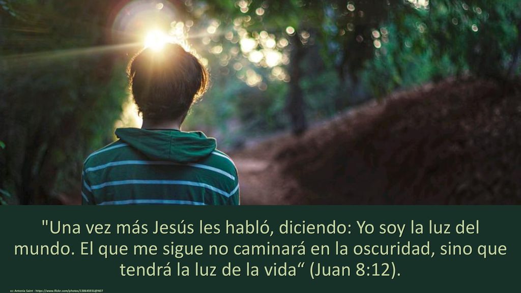 Una vez más Jesús les habló, diciendo: Yo soy la luz del mundo