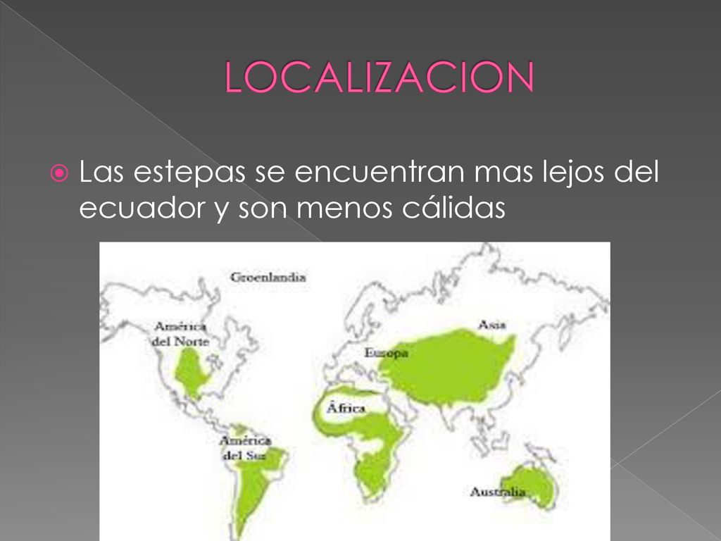 LOCALIZACION Las estepas se encuentran mas lejos del ecuador y son menos cálidas