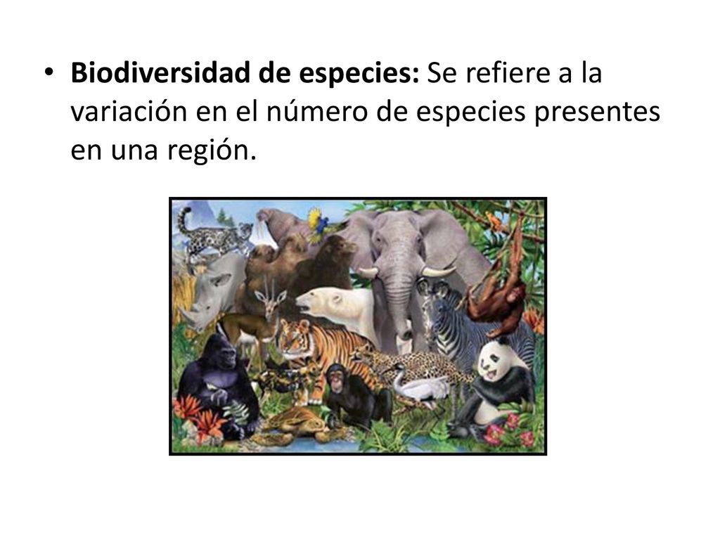 Biodiversidad de especies: Se refiere a la variación en el número de especies presentes en una región.