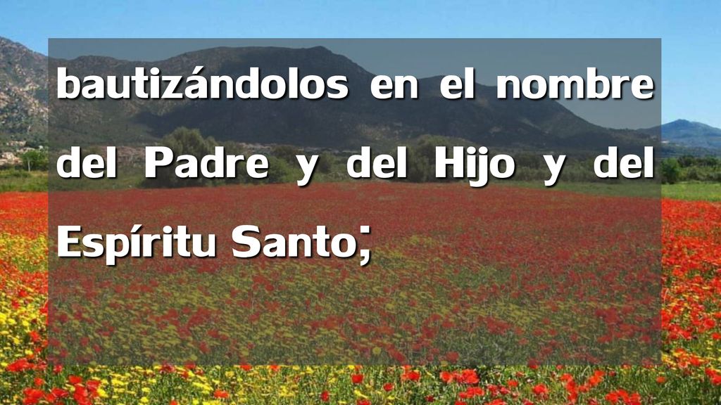 bautizándolos en el nombre del Padre y del Hijo y del Espíritu Santo;