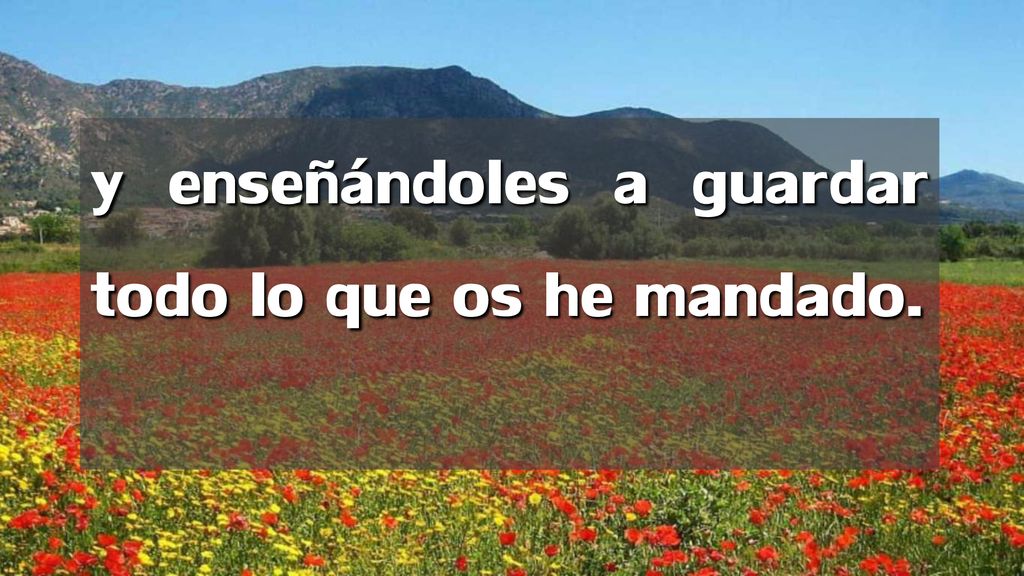 y enseñándoles a guardar todo lo que os he mandado.