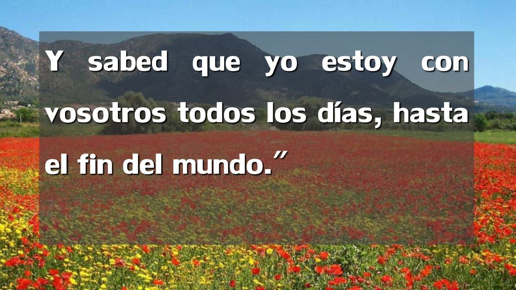 Y sabed que yo estoy con vosotros todos los días, hasta el fin del mundo.