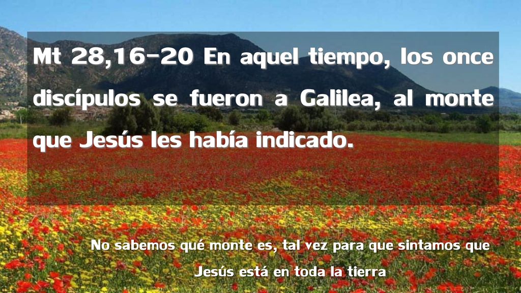 Mt 28,16-20 En aquel tiempo, los once discípulos se fueron a Galilea, al monte que Jesús les había indicado.