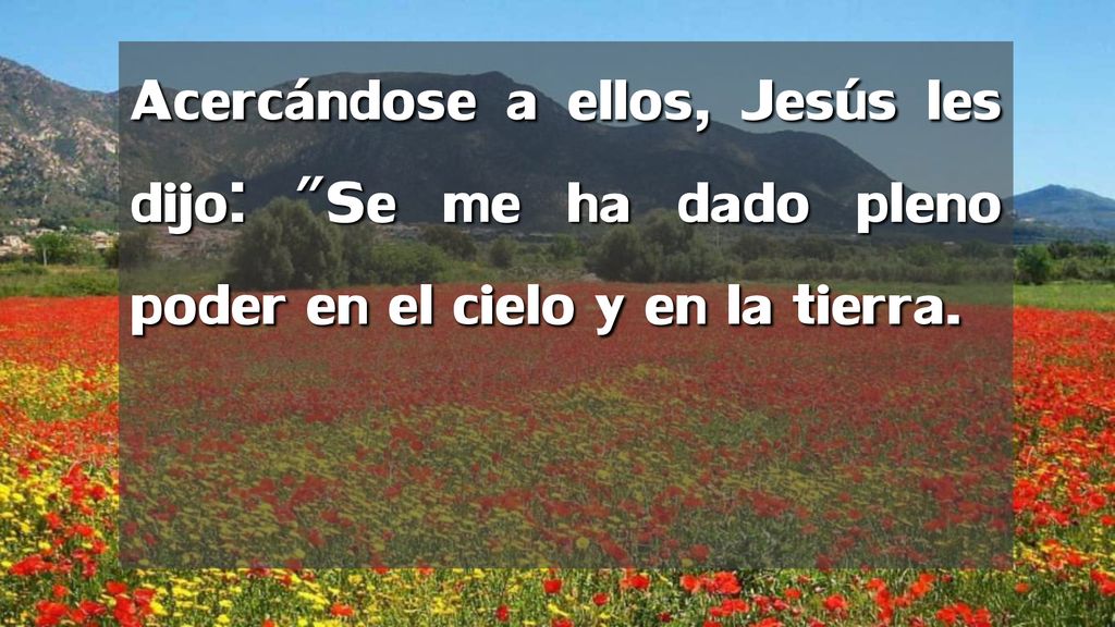 Acercándose a ellos, Jesús les dijo: Se me ha dado pleno poder en el cielo y en la tierra.