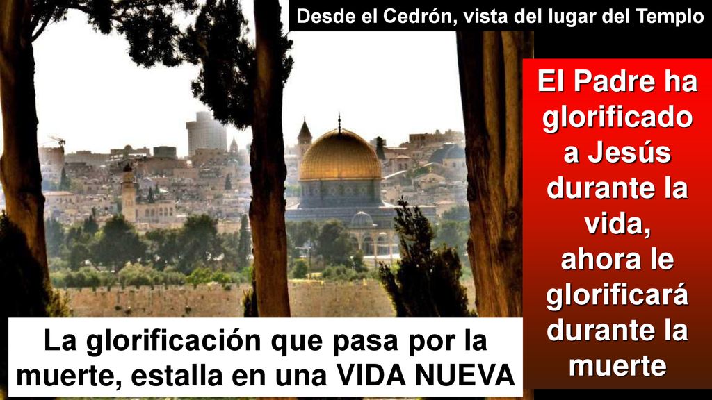 La glorificación que pasa por la muerte, estalla en una VIDA NUEVA