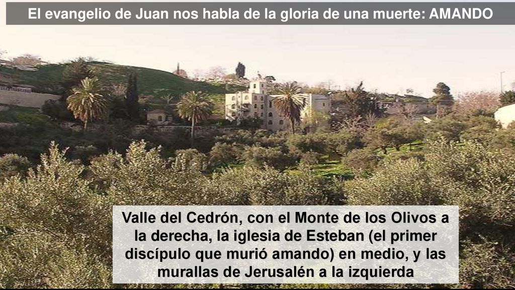 El evangelio de Juan nos habla de la gloria de una muerte: AMANDO