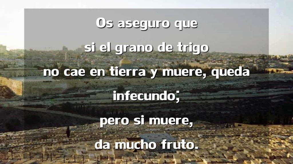 Os aseguro que si el grano de trigo no cae en tierra y muere, queda infecundo; pero si muere, da mucho fruto.
