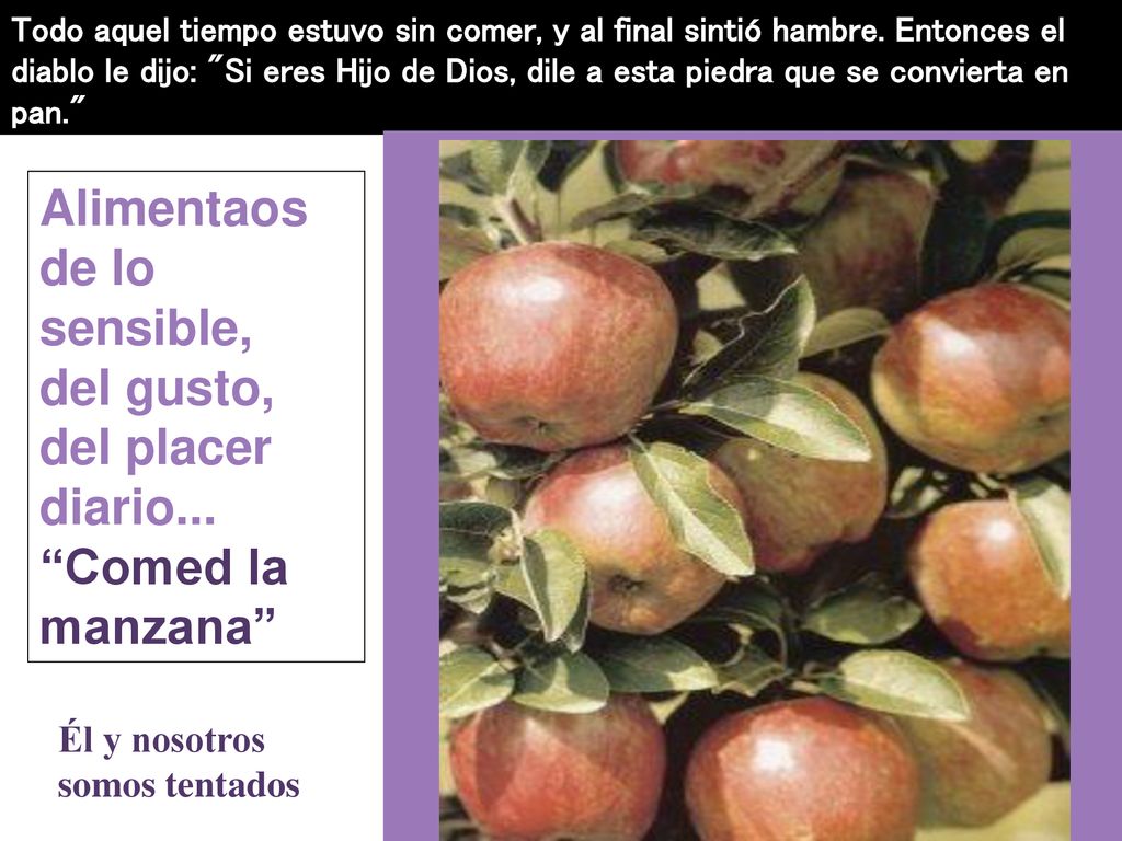 Todo aquel tiempo estuvo sin comer, y al final sintió hambre