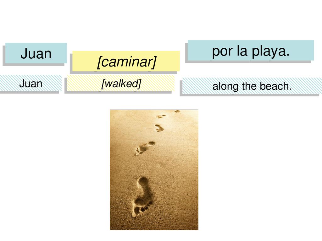 por la playa. Juan [caminar] Juan [walked] along the beach.