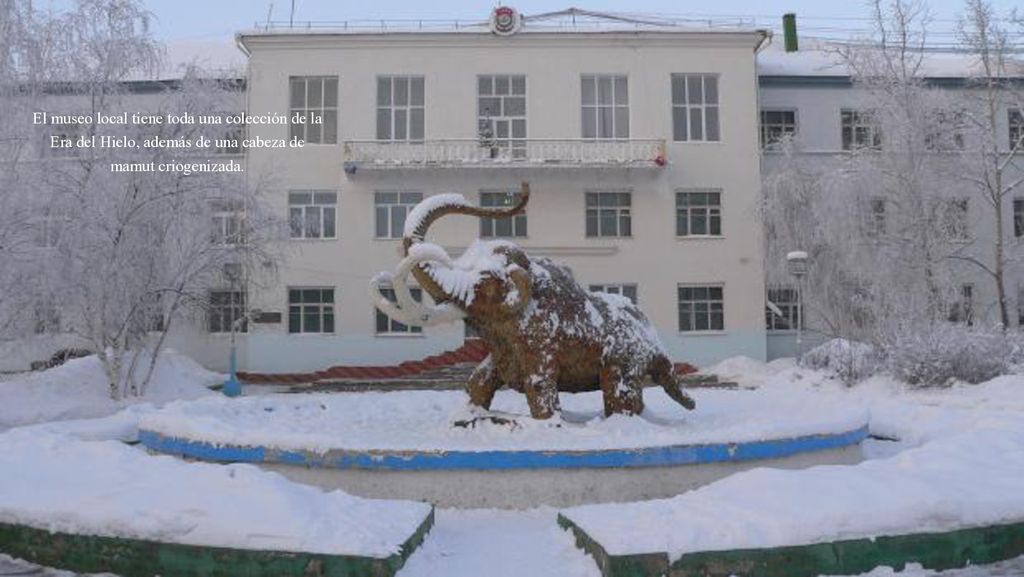 El museo local tiene toda una colección de la Era del Hielo, además de una cabeza de mamut criogenizada.
