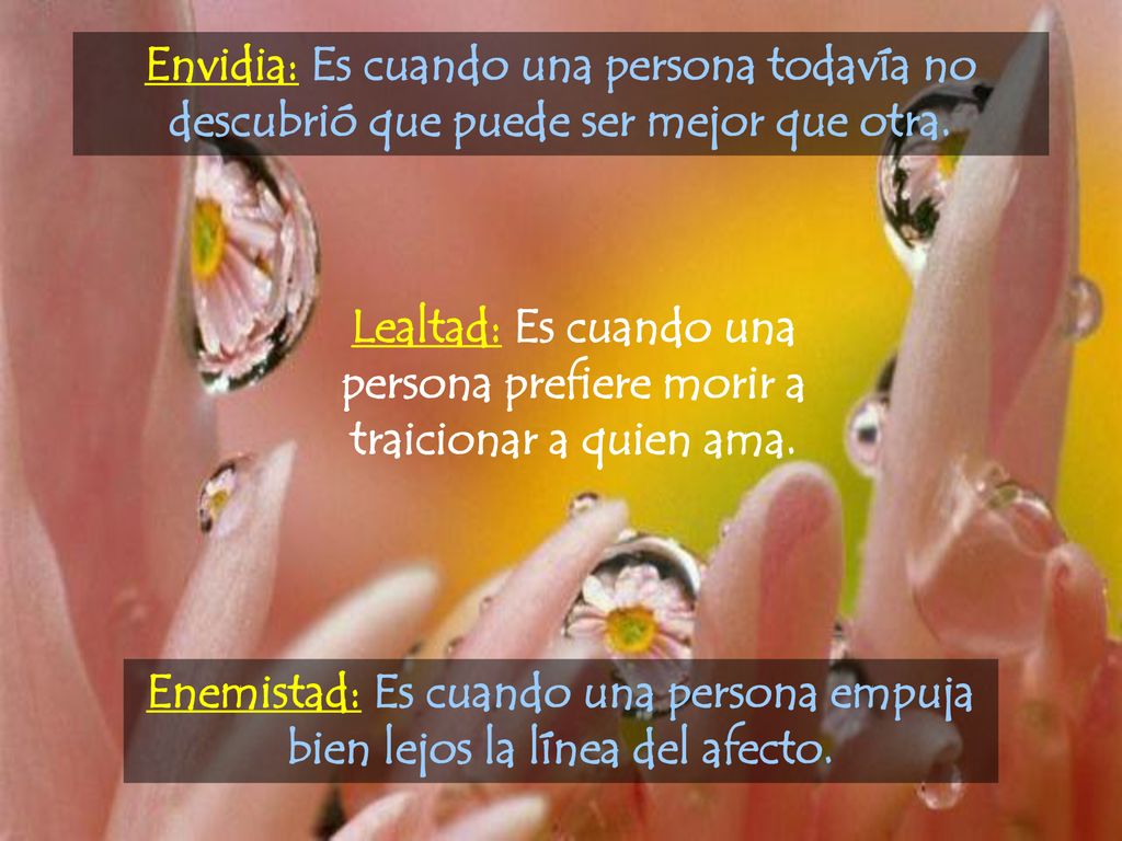 Envidia: Es cuando una persona todavía no descubrió que puede ser mejor que otra.