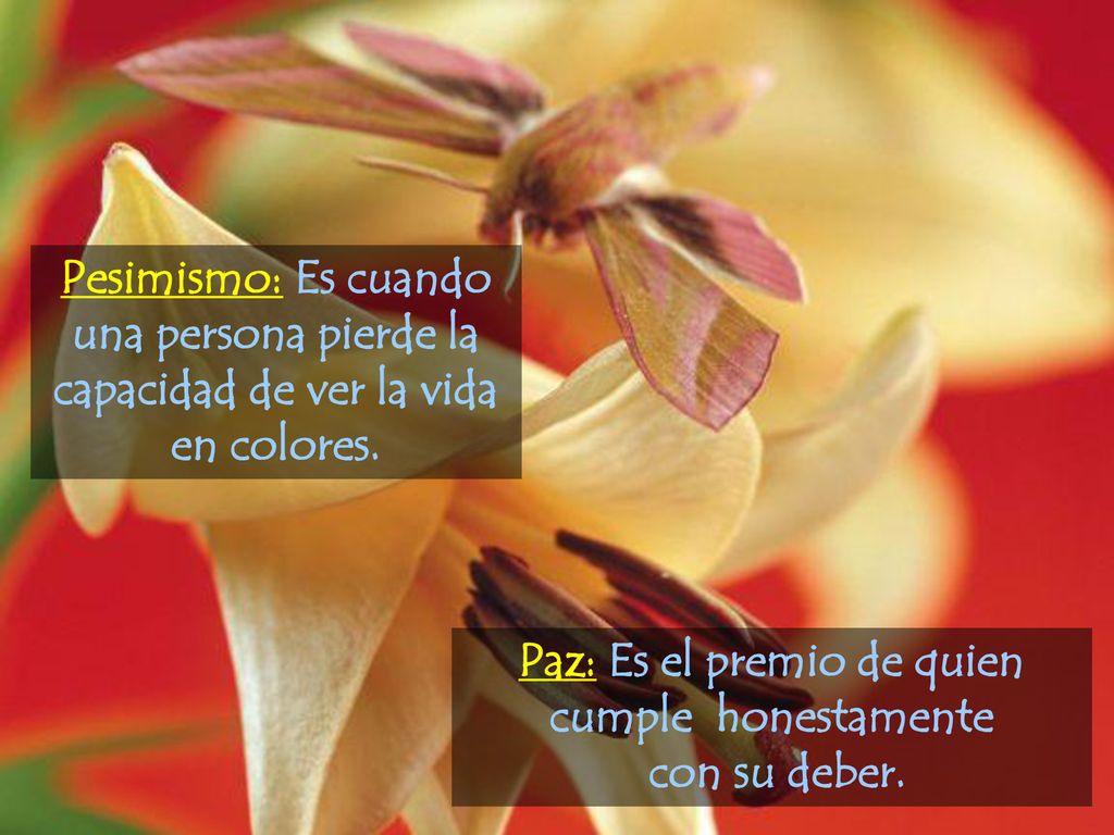 una persona pierde la capacidad de ver la vida en colores.
