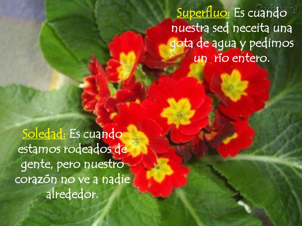 Superfluo: Es cuando nuestra sed neceita una gota de agua y pedimos un río entero.