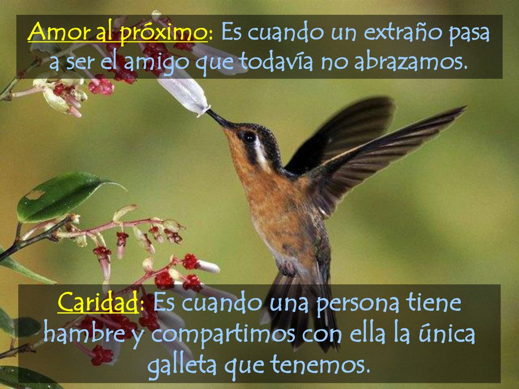 Amor al próximo: Es cuando un extraño pasa a ser el amigo que todavía no abrazamos.
