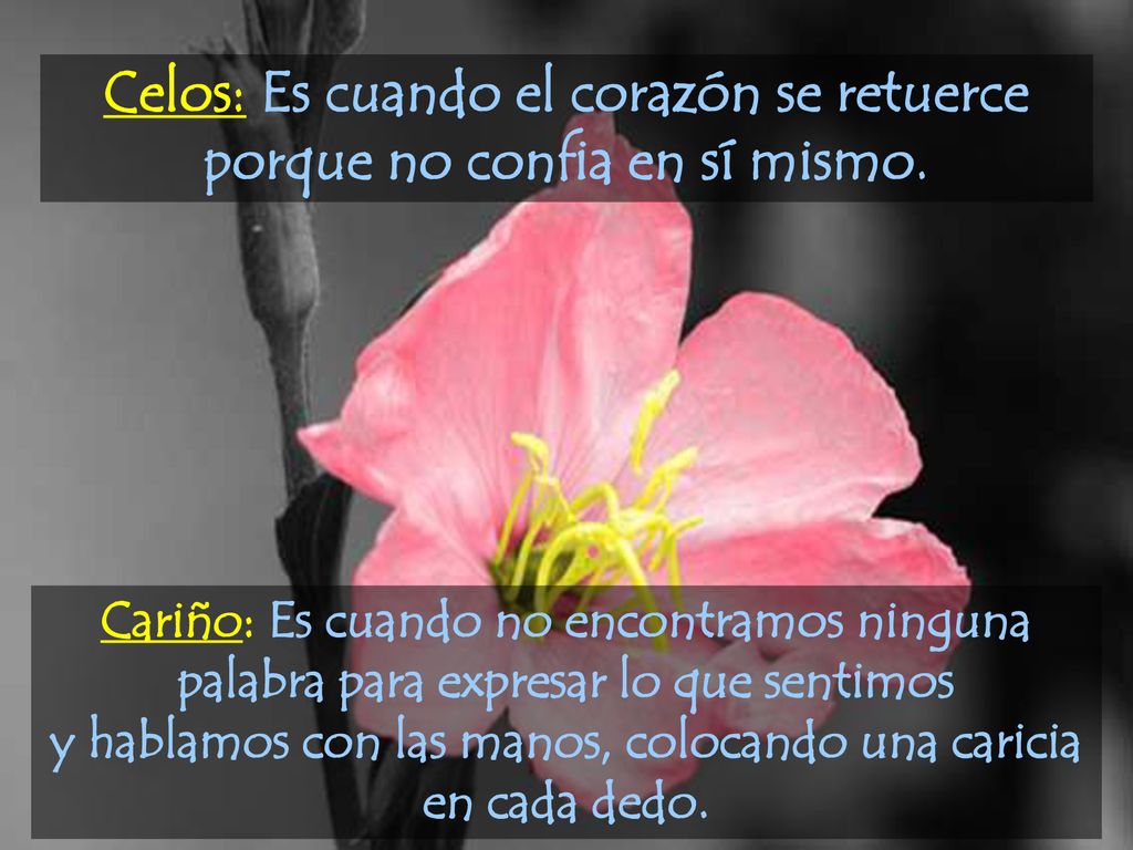 Celos: Es cuando el corazón se retuerce porque no confia en sí mismo.