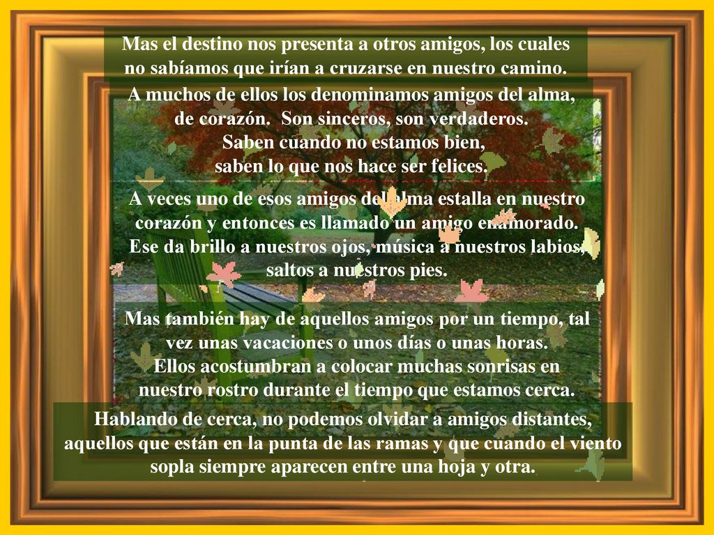 Saben cuando no estamos bien, saben lo que nos hace ser felices.