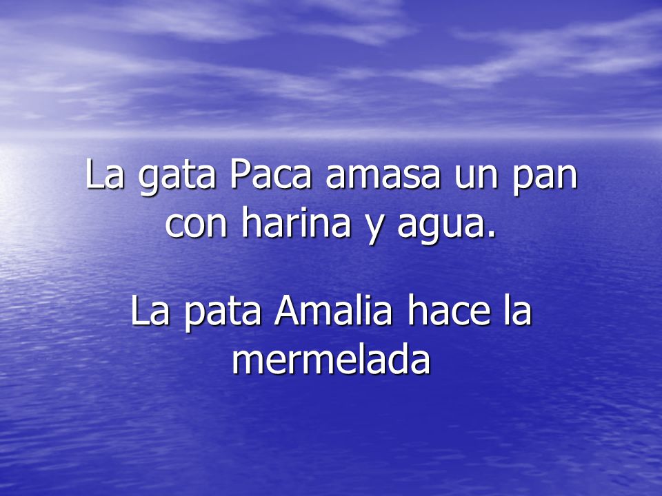 La gata Paca amasa un pan con harina y agua.