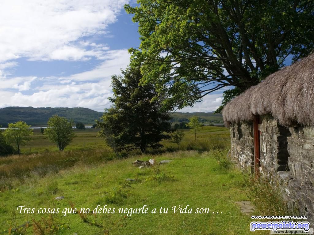 Tres cosas que no debes negarle a tu Vida son …