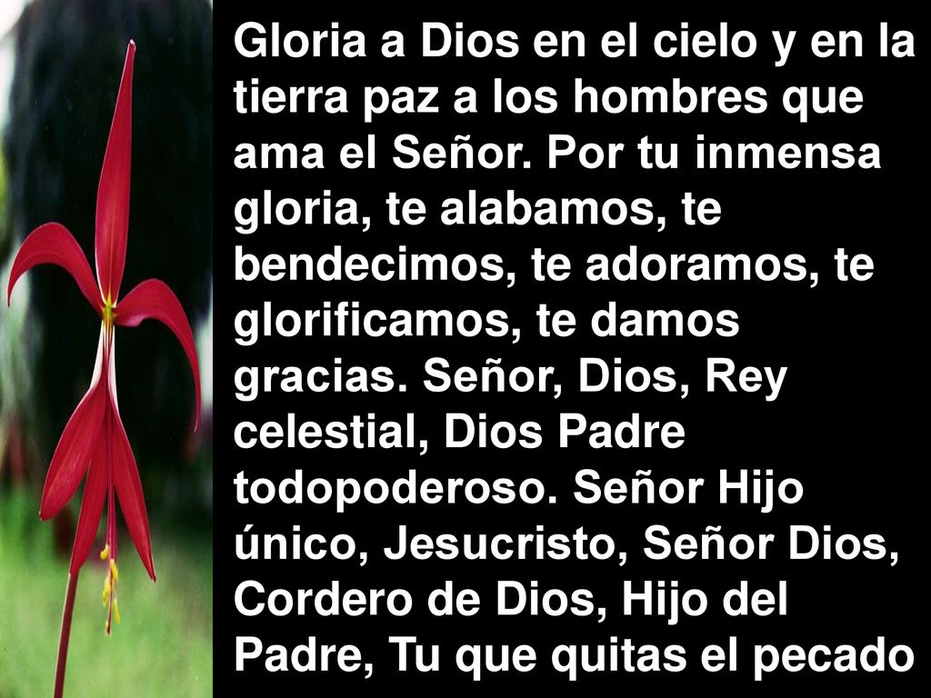 Gloria a Dios en el cielo y en la tierra paz a los hombres que ama el Señor. Por tu inmensa gloria, te alabamos, te bendecimos, te adoramos, te