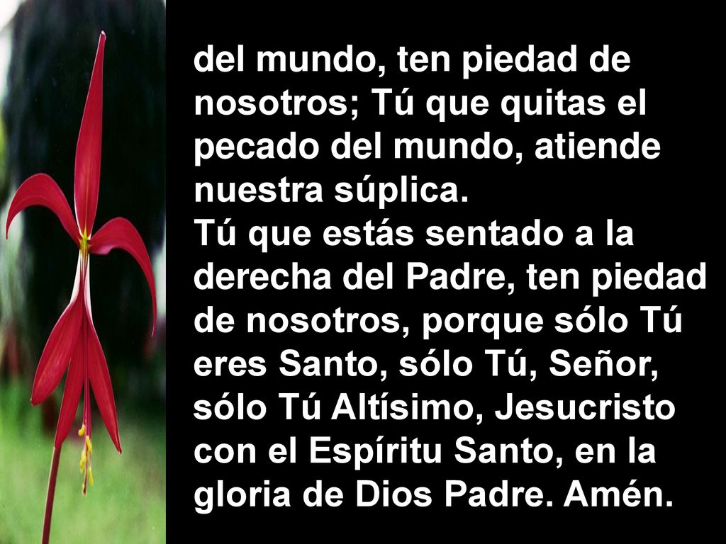 del mundo, ten piedad de nosotros; Tú que quitas el pecado del mundo, atiende nuestra súplica.