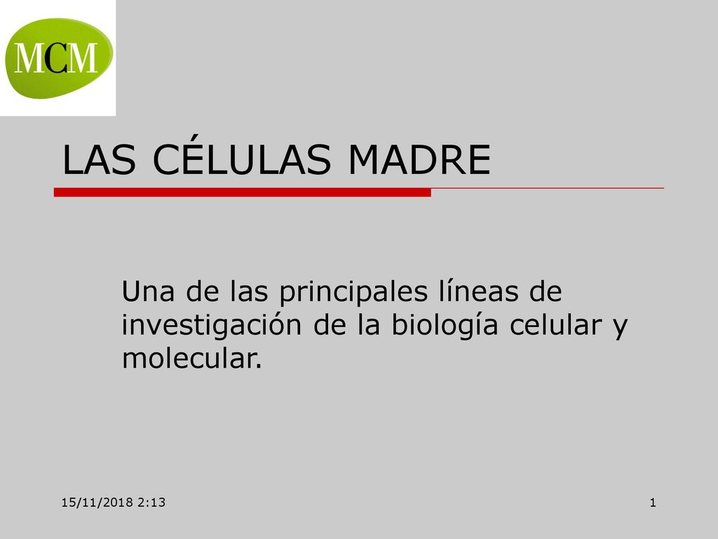 LAS CÉLULAS MADRE Una de las principales líneas de investigación de la biología celular y molecular.