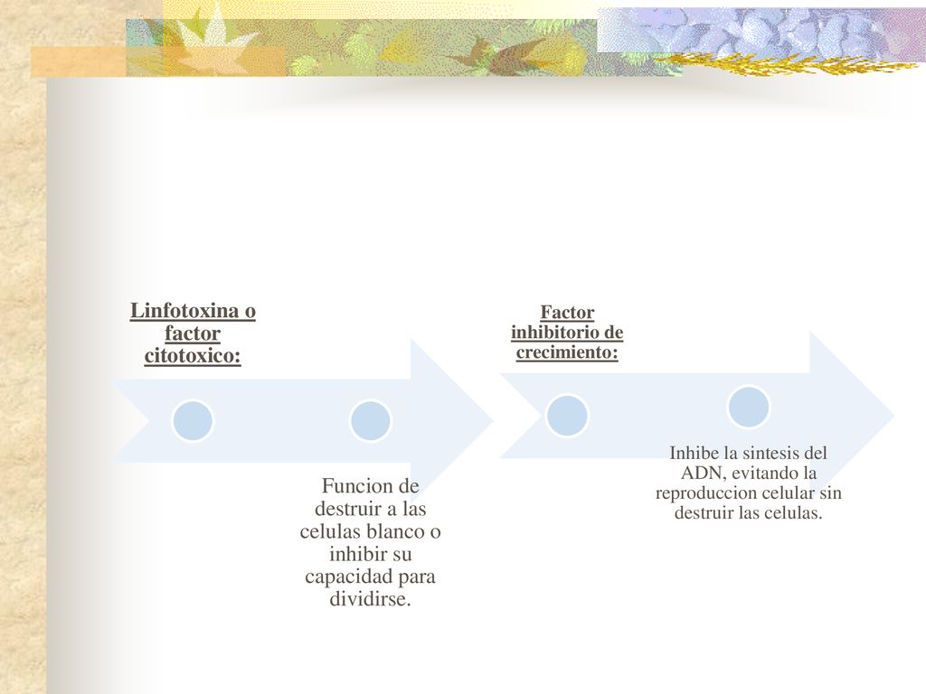 Factor inhibitorio de crecimiento: Linfotoxina o factor citotoxico: