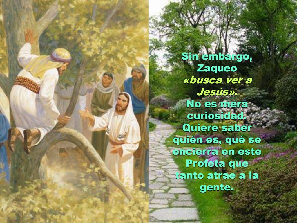 Sin embargo, Zaqueo «busca ver a Jesús». No es mera curiosidad.