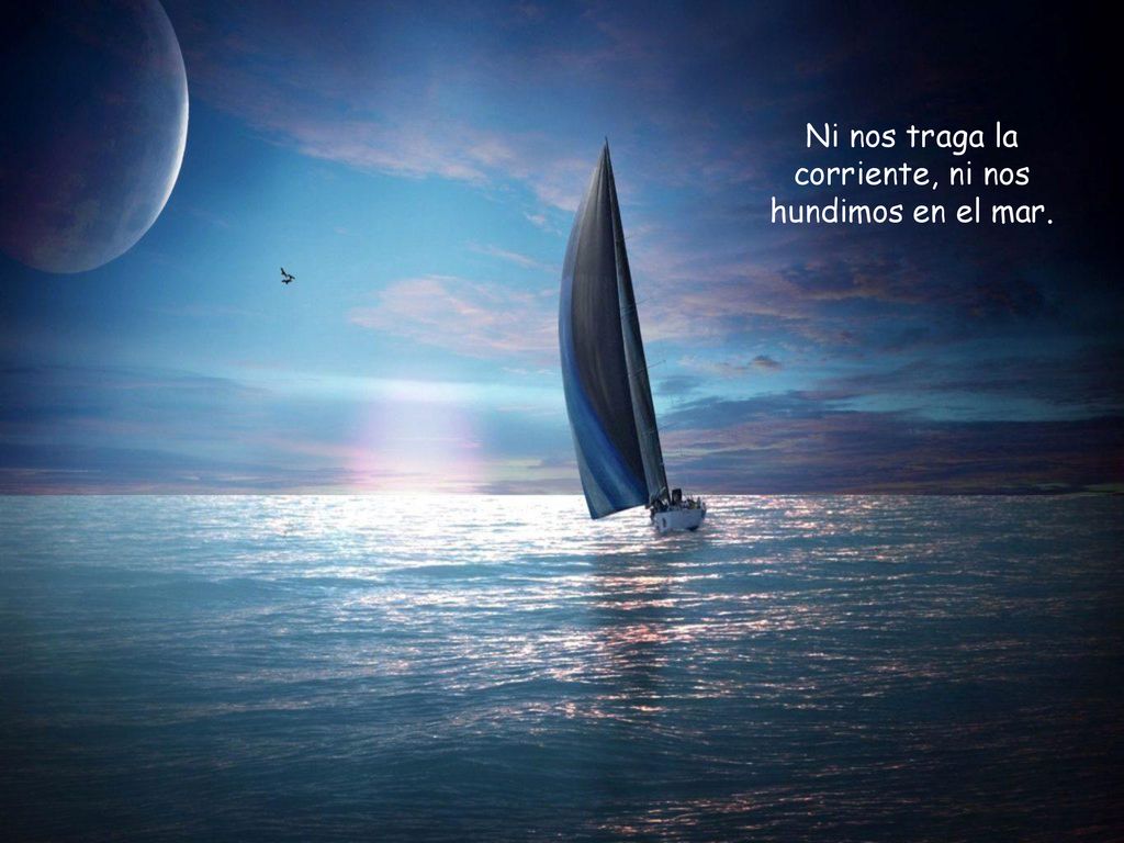 Ni nos traga la corriente, ni nos hundimos en el mar.