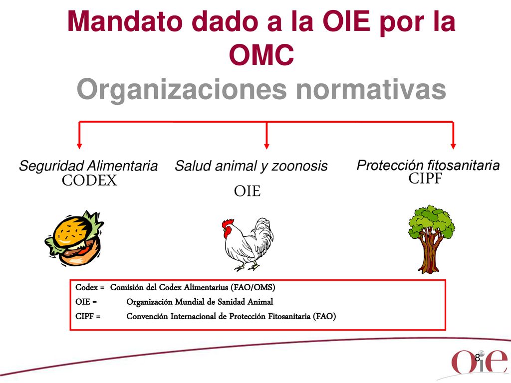 Mandato dado a la OIE por la OMC Organizaciones normativas