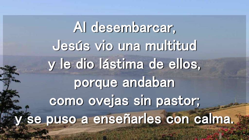 Al desembarcar, Jesús vio una multitud y le dio lástima de ellos, porque andaban como ovejas sin pastor; y se puso a enseñarles con calma.